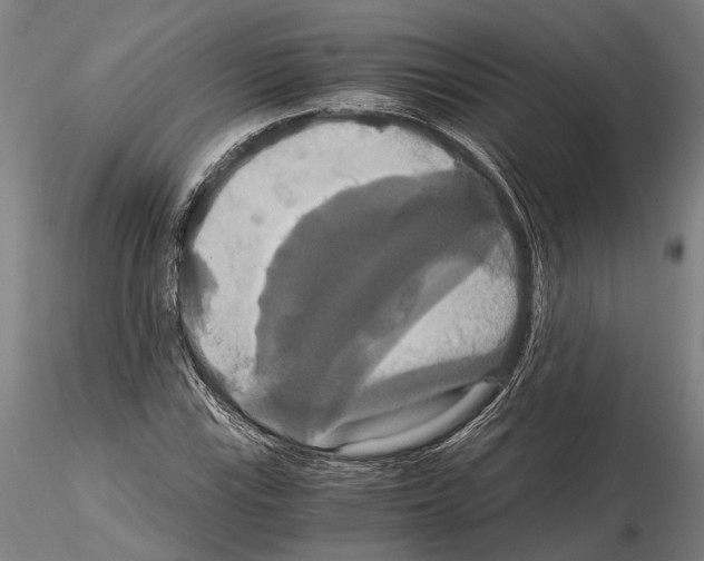 X0000114641115200912011042