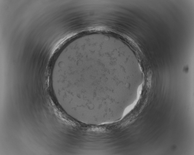 X0000114641117200912011042