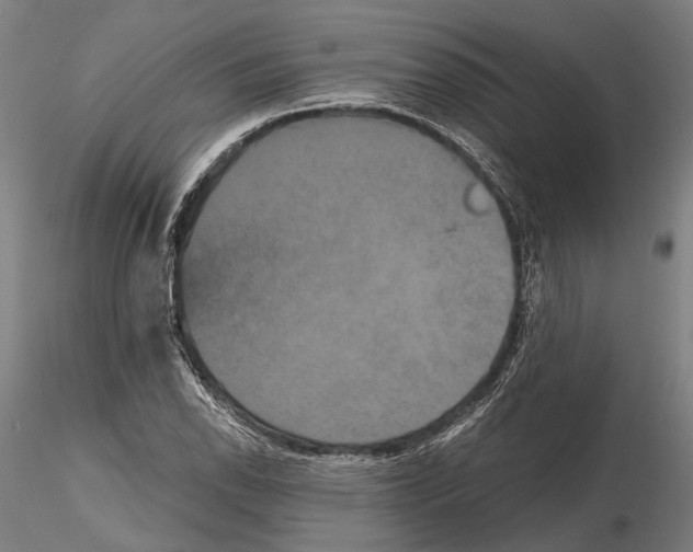 X0000114641118200912011042