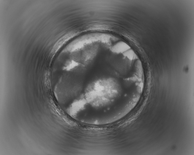 X0000114641121200912011042