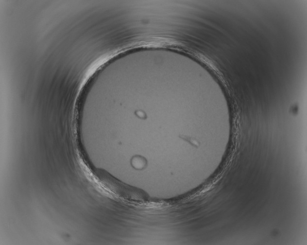 X0000114641122200912011042