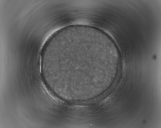 X0000114641123200912011042