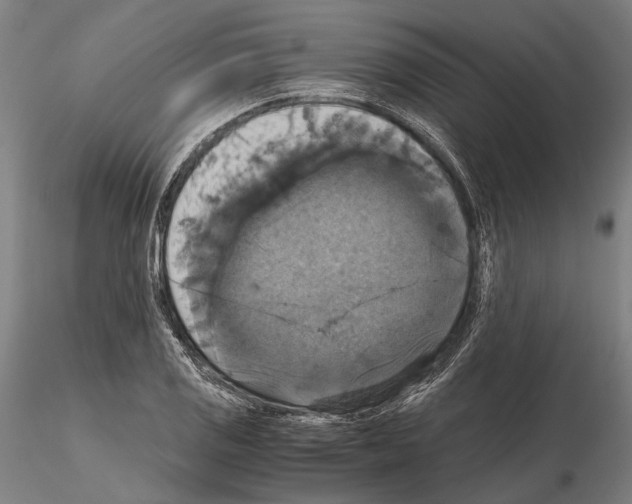 X0000114641125200912011042