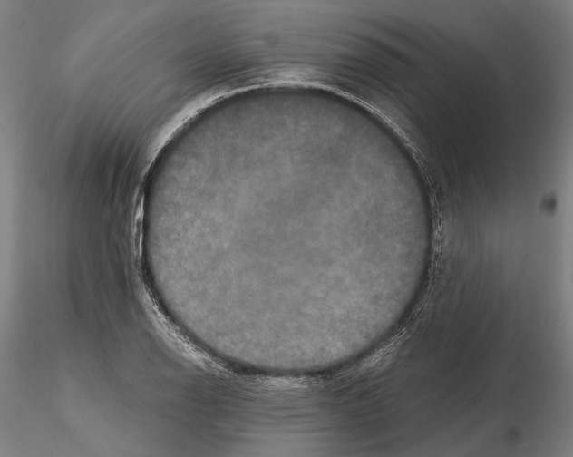 X0000114641126200912011042