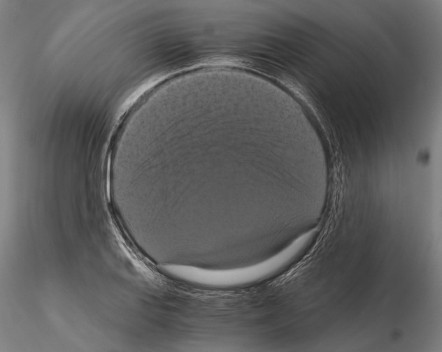 X0000114641127200912011042