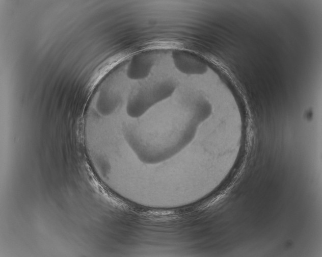 X0000114641129200912011042