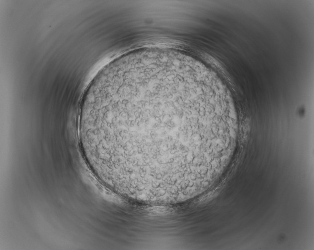 X0000114641130200912011042