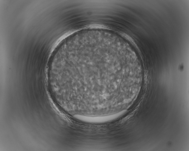 X0000114641133200912011042