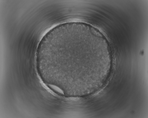 X0000114641134200912011042