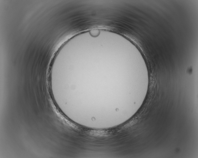 X0000114641135200912011042