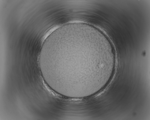 X0000114641137200912011042