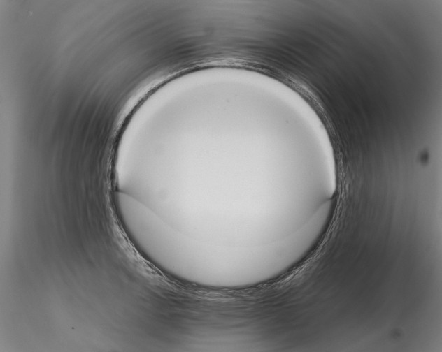 X0000114641138200912011042