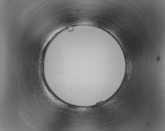 X0000114641139200912011042