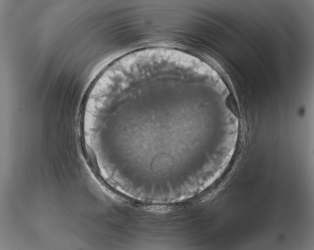 X0000114641141200912011043