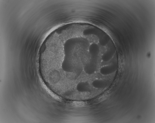 X0000114641142200912011043