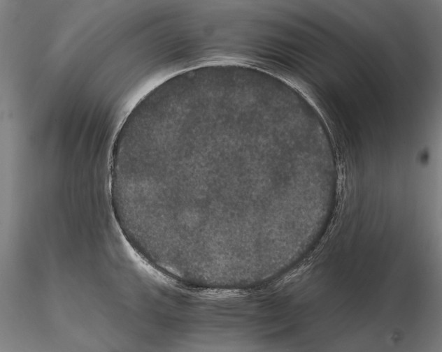 X0000114641143200912011043