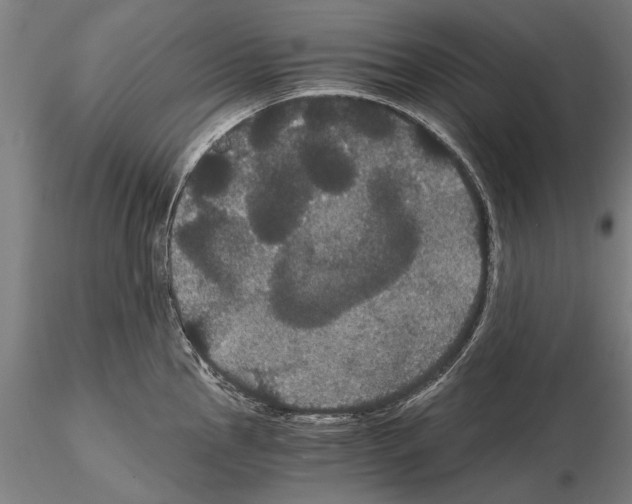 X0000114641145200912011043