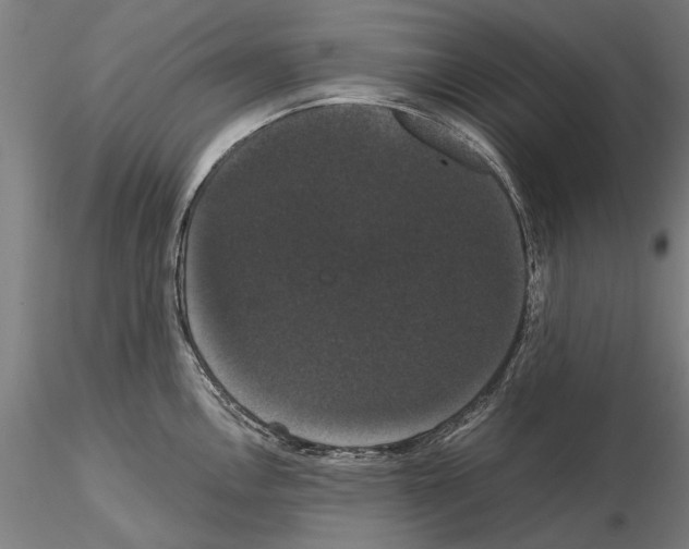 X0000114641146200912011043