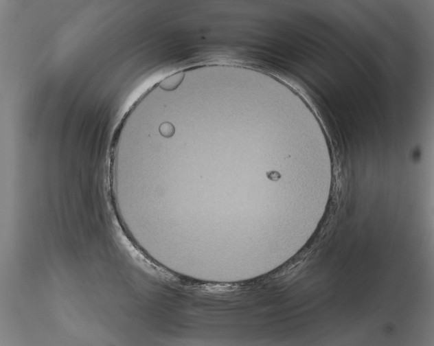 X0000114641147200912011043