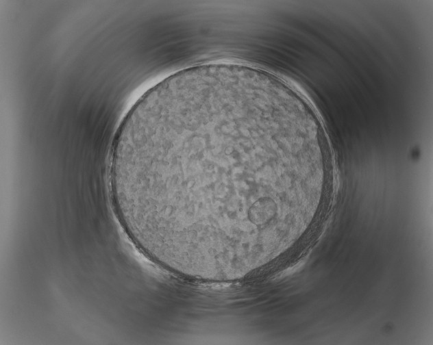 X0000114641149200912011043