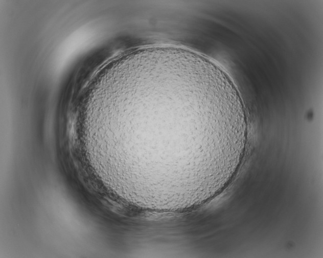 X0000114641150200912011043