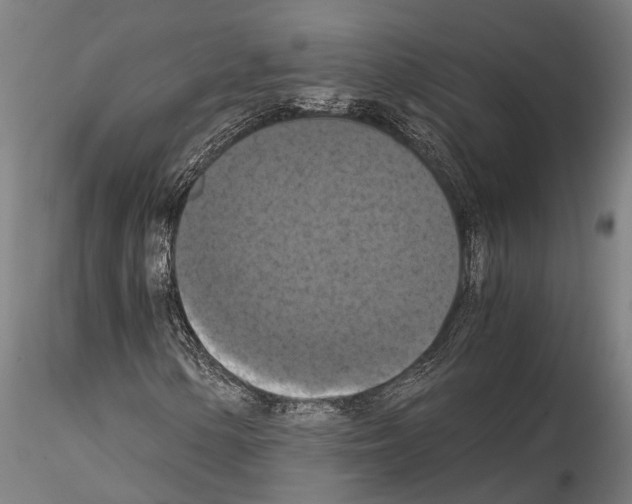 X0000114641154200912011042