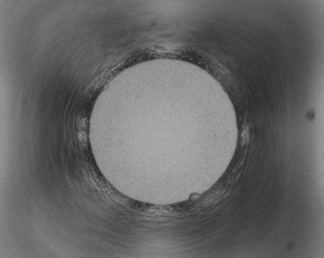 X0000114641156200912011042