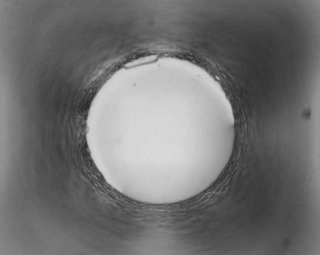 X0000114641157200912011042