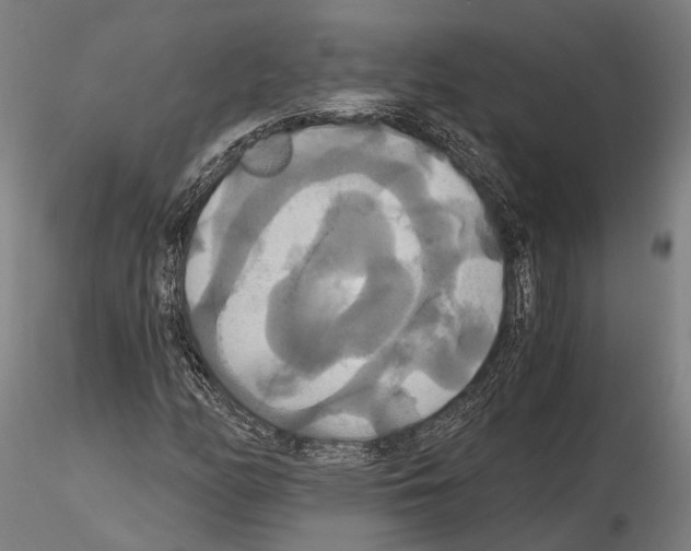 X0000114641158200912011042