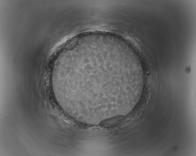 X0000114641159200912011042