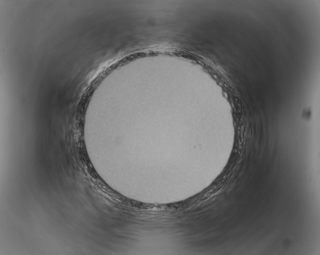 X0000114641160200912011042