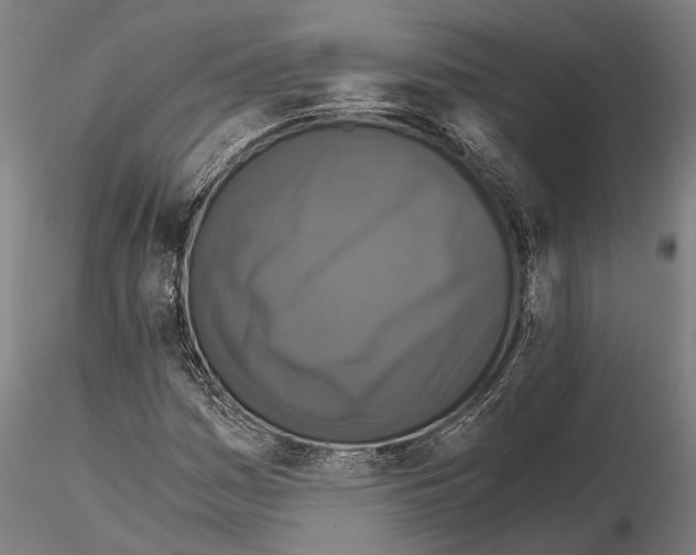 X0000114641161200912011042