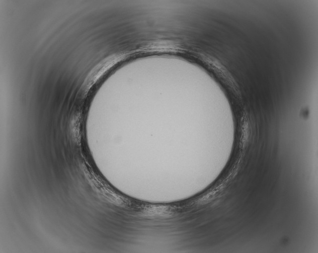 X0000114641162200912011042