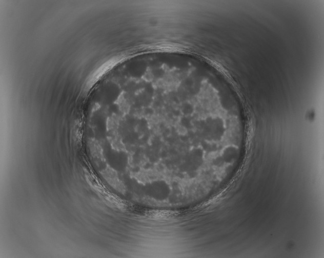 X0000114641163200912011042