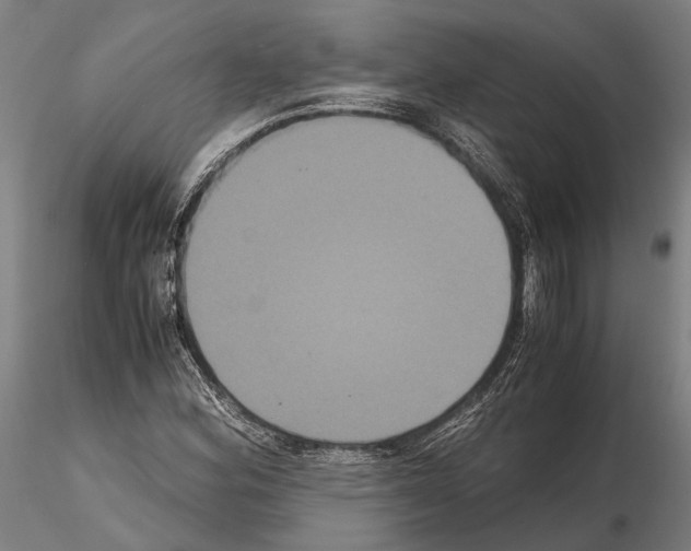 X0000114641164200912011042