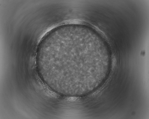 X0000114641166200912011042