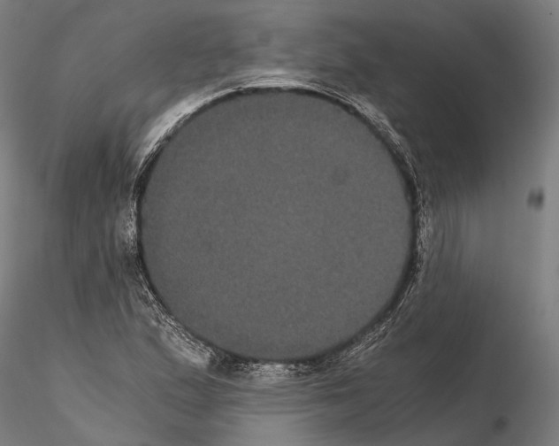 X0000114641167200912011042