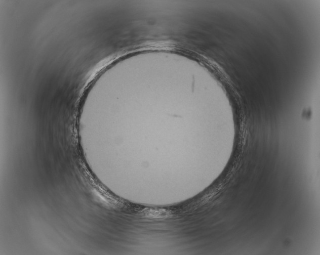 X0000114641168200912011042