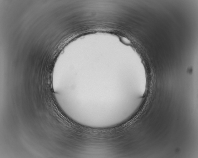 X0000114641169200912011042