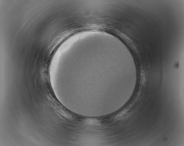 X0000114641170200912011042