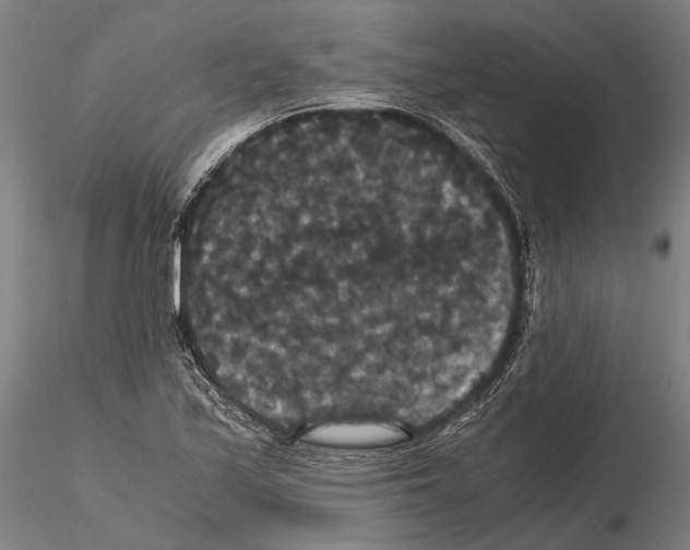 X0000114641171200912011042