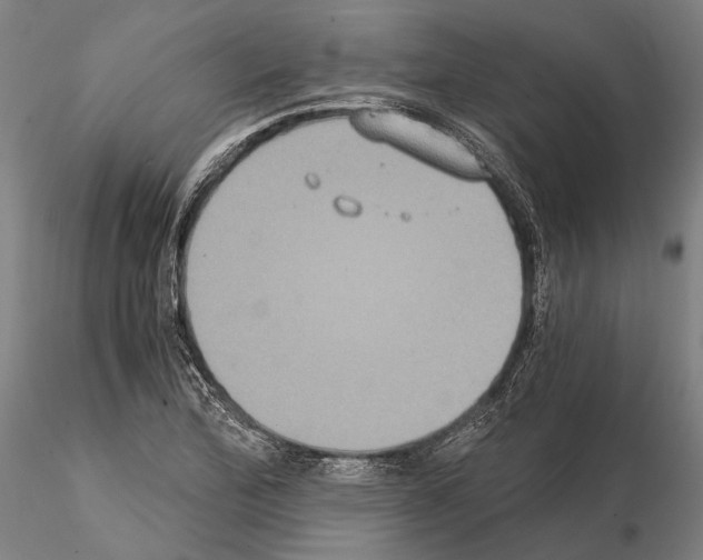 X0000114641172200912011042