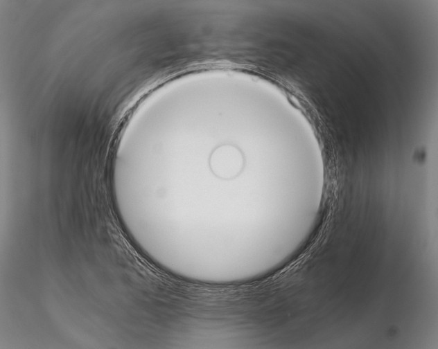 X0000114641173200912011042