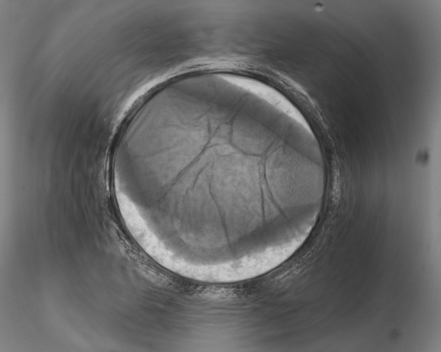 X0000114641174200912011042