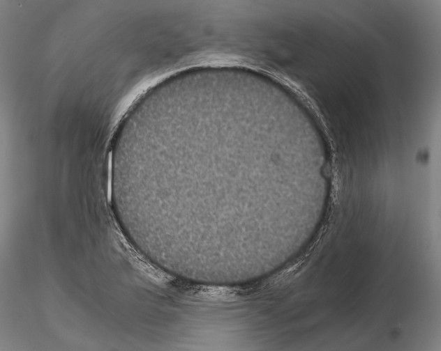 X0000114641175200912011042