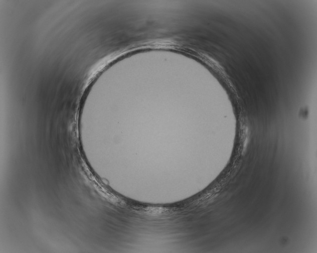 X0000114641176200912011042