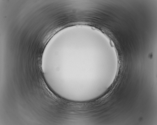 X0000114641177200912011042