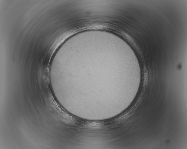 X0000114641178200912011041