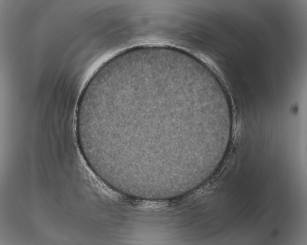 X0000114641183200912011041