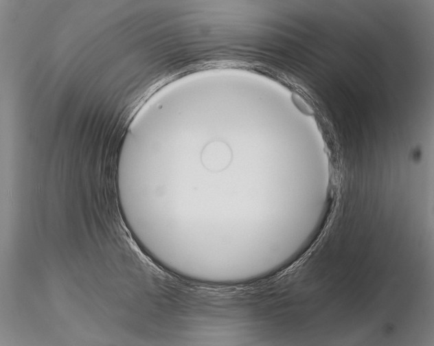 X0000114641185200912011041